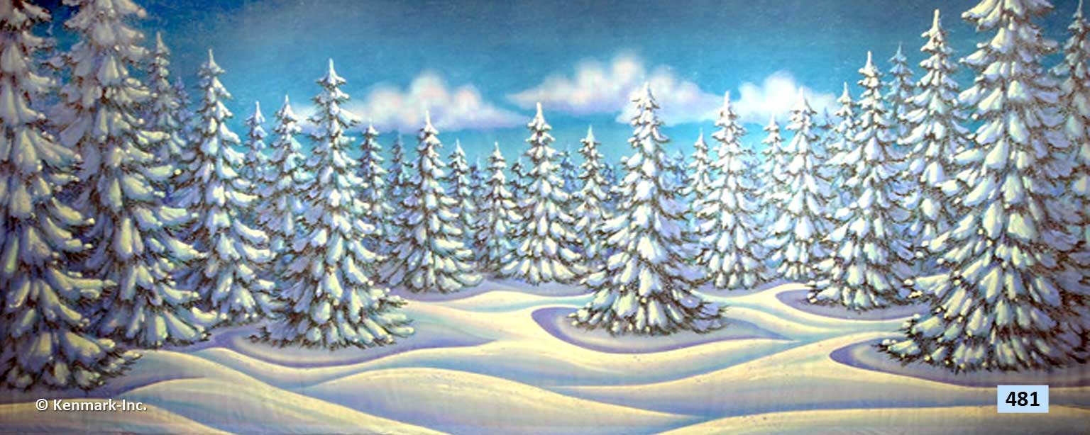 Snow Forest