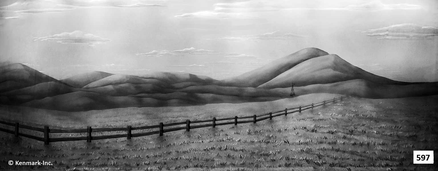 Wheat Field Black and White