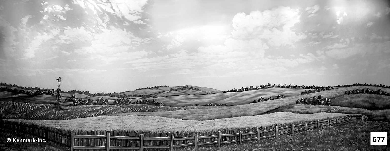 Wheat Field Black and White
