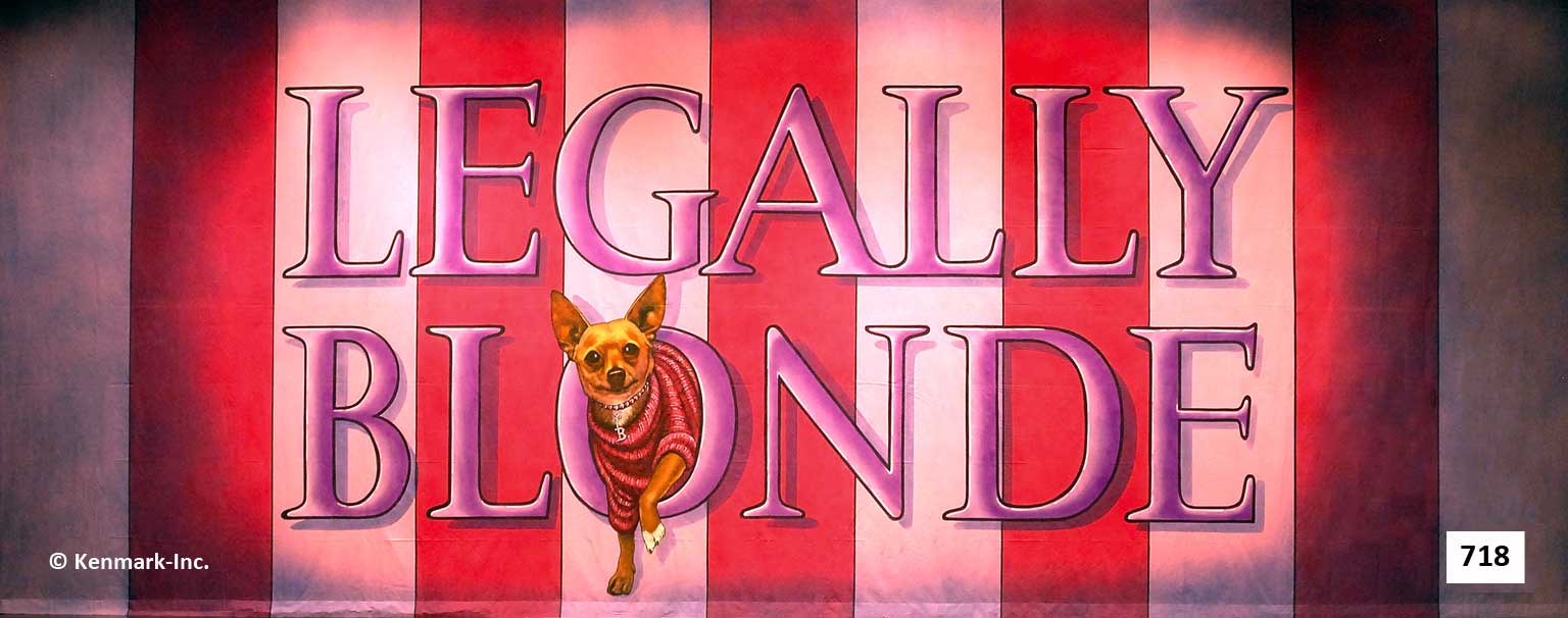 Legally Blonde Act Curtain